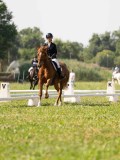 DSC08856
