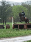 24_03341 24_03341