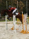 DSC04848 DSC04848