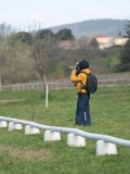 24_05331 24_05331