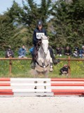 3FT08550 3FT08550