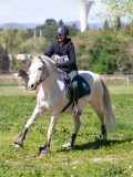 IMG_1201 IMG_1201