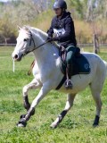 IMG_1203 IMG_1203