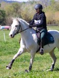 IMG_1204 IMG_1204