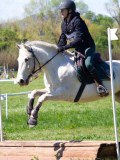IMG_1206 IMG_1206
