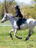 IMG_1209 IMG_1209