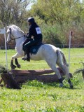 IMG_1213 IMG_1213