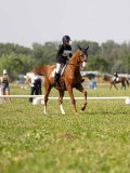 DSC08902