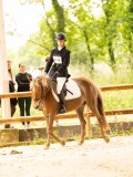 DSC07758 DSC07758