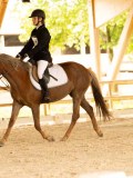 DSC07766 DSC07766