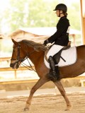 DSC07767 DSC07767