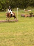 DSC08754 DSC08754
