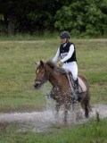 IMG_3611 IMG_3611