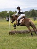 IMG_3615 IMG_3615