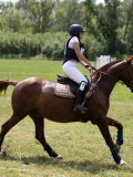 IMG_3900 IMG_3900