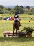 IMG_3902 IMG_3902