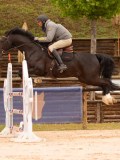 DSC00468 DSC00468
