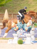 DSC06980 DSC06980