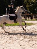 DSC08225 DSC08225