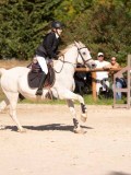 DSC08232 DSC08232