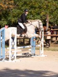 DSC08233 DSC08233