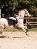 DSC08234 DSC08234