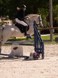 DSC08235 DSC08235