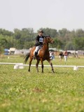 DSC08975