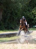 IMG_6545