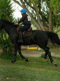 MAX02404