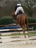 DSC04878 DSC04878