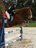 DSC04880 DSC04880