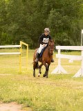 DSC08795 DSC08795