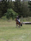 IMG_3640 IMG_3640