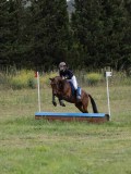 IMG_3641 IMG_3641