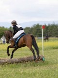IMG_3647 IMG_3647