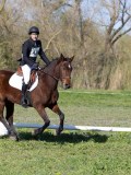 IMG_1069