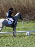 IMG_1147