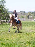 IMG_1246 IMG_1246