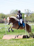 IMG_1253 IMG_1253