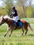 IMG_1256 IMG_1256