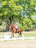DSC08253 DSC08253
