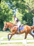 DSC08259 DSC08259