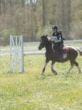 24_06020 24_06020