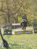 24_06037 24_06037