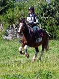 IMG_1260 IMG_1260