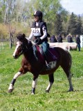 IMG_1263 IMG_1263