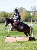 IMG_1266 IMG_1266