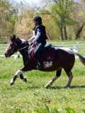 IMG_1269 IMG_1269