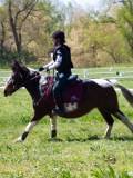 IMG_1270 IMG_1270